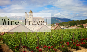 Wine Travel